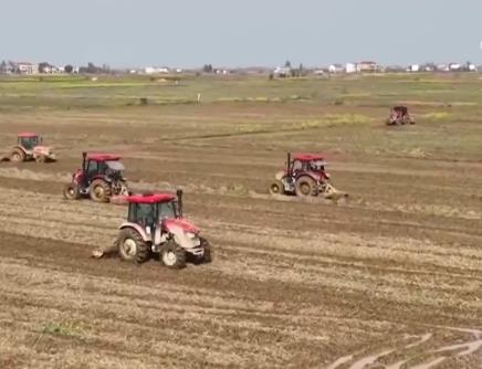 冬小麥進(jìn)入田管關(guān)鍵期 早稻育秧過八成