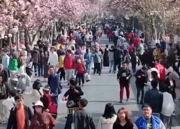 “吃喝玩樂(lè)”等生活服務(wù)業(yè)消費(fèi)“火熱” 中國(guó)經(jīng)濟(jì)內(nèi)需潛力“熱力”釋放