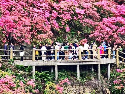 春季文旅全面開(kāi)“花”！消費(fèi)市場(chǎng)釋放蓬勃活力