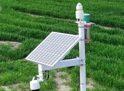 “種地種出成就感”！衛(wèi)星巡田、遠(yuǎn)程田管，農(nóng)業(yè)生產(chǎn)煥發(fā)新活力