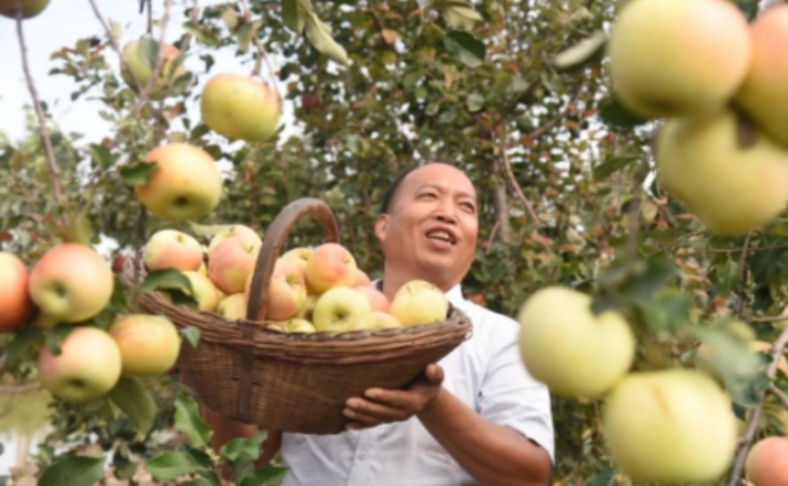 河南杞縣：“一村一品”奏響產(chǎn)業(yè)振興樂(lè)章