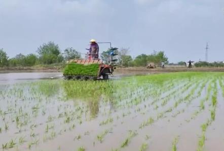 各地春種春管忙 勤勞、智慧、農技、機械化為豐收“保駕護航”