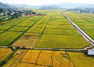 一季度我國農業(yè)農村經(jīng)濟保持了良好發(fā)展勢頭