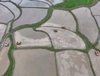 農(nóng)業(yè)農(nóng)村部確定大面積提單產(chǎn)路線圖，端牢“中國飯碗”