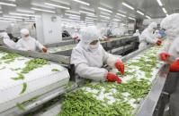 讓預(yù)制菜產(chǎn)業(yè)健康可持續(xù)發(fā)展　為食品產(chǎn)業(yè)規(guī)?；?biāo)準(zhǔn)化、工業(yè)化提供新機(jī)遇