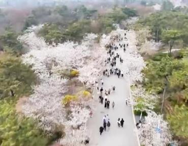 體旅融合新升級(jí)、徒步游升溫、觀影活動(dòng)多 這個(gè)“五一”假期火熱來(lái)襲