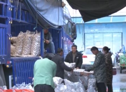 “菜籃子”價格呈現(xiàn)季節(jié)性下降 姜蒜供應(yīng)偏緊漲勢明顯