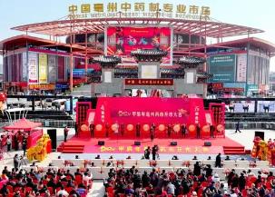 打造“世界中醫(yī)藥之都”，為什么是亳州？