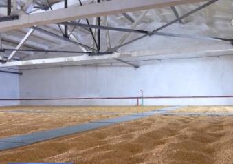 全國綠色儲糧倉容超兩億噸 夯實(shí)糧食倉儲能力、筑牢糧食安全防線