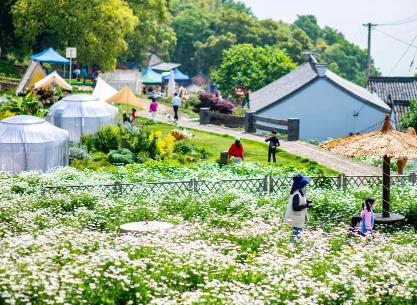 旅游消費新趨勢：文旅融合、科技賦能、個性多元