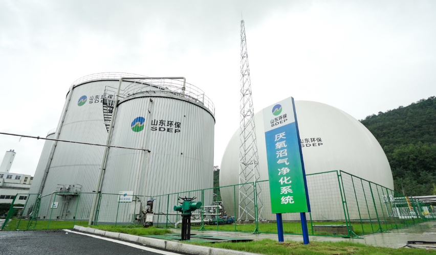 相當(dāng)于種植1.3億棵樹 山東環(huán)保集團累計碳減排238.3萬噸