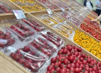 在山東濰坊壽光，看“中國(guó)蔬菜之鄉(xiāng)”的新時(shí)代發(fā)展圖景