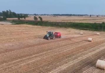 夏糧已經(jīng)由南向北陸續(xù)開鐮 今年“三夏”迎來(lái)哪些“新”變化？