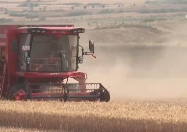 智能化農(nóng)機(jī)投用、“數(shù)字云”服務(wù)……“科技范兒”保障希望的田野穩(wěn)產(chǎn)豐收