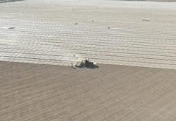 我國(guó)棉花標(biāo)準(zhǔn)化生產(chǎn)技術(shù)獲突破