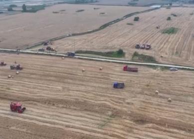 以密固沙、以糧改沙 組合拳實(shí)現(xiàn)“噸糧田”