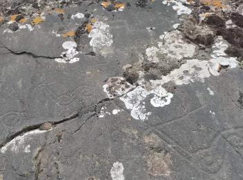 距今3000多年！青海新發(fā)現(xiàn)一處罕見巖畫群