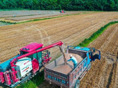 河南省麥?zhǔn)者^(guò)半 夏播已陸續(xù)展開