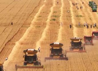 加裝“北斗”、改造智能糧庫(kù)……科技手段讓“三夏”生產(chǎn)更智慧、更高效