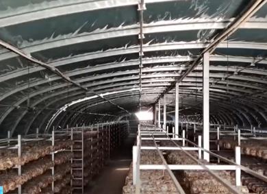 “劣勢(shì)”變“優(yōu)勢(shì)” 特色產(chǎn)業(yè)讓縣域經(jīng)濟(jì)發(fā)展有了新“引擎”