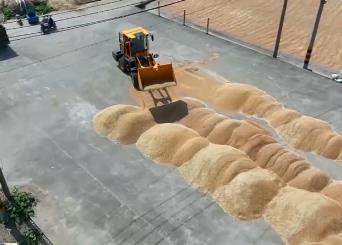 “三夏”時(shí)節(jié)農(nóng)事忙 全國(guó)各地多措并舉守護(hù)“大國(guó)糧倉(cāng)”