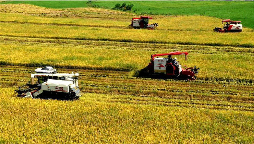 端牢“中國飯碗” 激發(fā)振興活力——中部地區(qū)推進農(nóng)業(yè)農(nóng)村改革發(fā)展