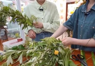 128.3億，身價倍增！艾草“玩”出新花樣 從“一季俏”到“四季青”