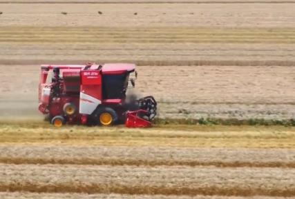 “優(yōu)質(zhì)種+科技范”繪出田野好“豐”景 夏糧穩(wěn)產(chǎn)增收基礎(chǔ)牢、底氣足