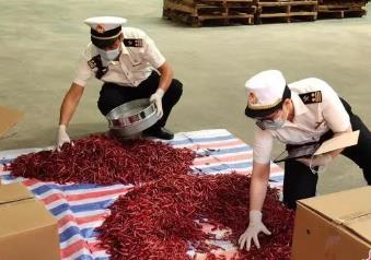“中國辣椒之鄉(xiāng)”云南丘北辣椒“火辣”海外市場(chǎng)