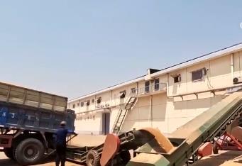 收購開局良好！讓農(nóng)民賣“明白糧”“放心糧” 確保夏糧豐收入庫、顆粒歸倉