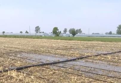 全國多地積極采取措施抗高溫?！叭摹?></a></div><!-- img end -->	<div   id=