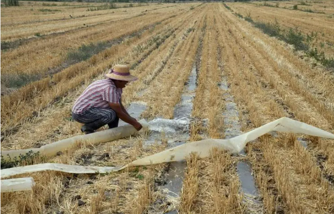 農(nóng)業(yè)農(nóng)村部啟動農(nóng)業(yè)抗旱三級應(yīng)急響應(yīng)