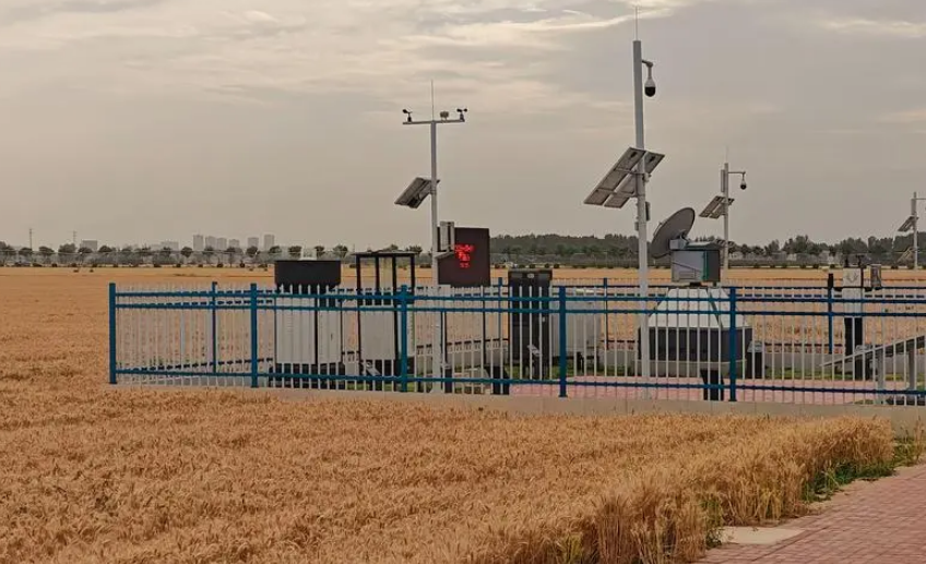 中原農(nóng)谷、一流“種谷”、農(nóng)業(yè)科創(chuàng)谷——從中部“三谷”看農(nóng)業(yè)創(chuàng)新發(fā)展