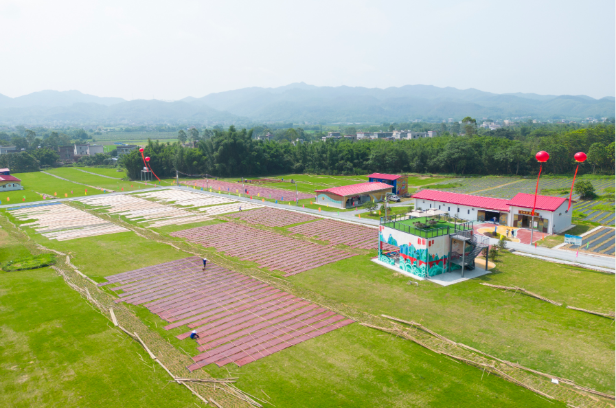 向“綠”而行 廣新控股集團(tuán)書(shū)寫(xiě)綠美生態(tài)新畫(huà)卷