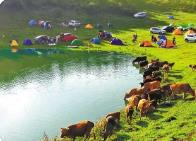 暑假旅行網(wǎng)上訂票訂酒店，這些事項要留意