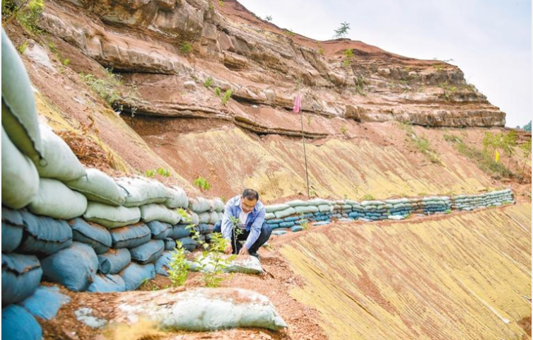 中國(guó)節(jié)能解鎖紅粘土變“綠”密鑰 筑牢西安驪山生態(tài)屏障