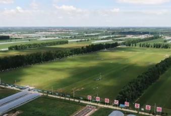 “一地一策”，3.0版！耕地中的“大熊貓”交出“優(yōu)糧”答卷