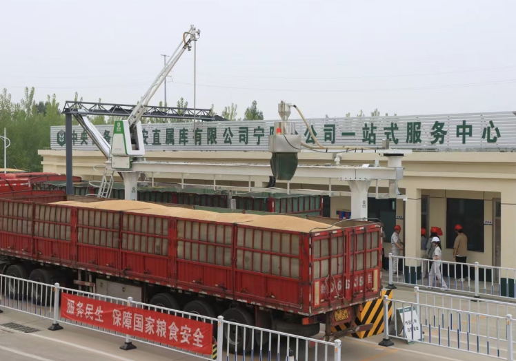 中儲(chǔ)糧全力奮戰(zhàn)夏糧收購(gòu) 助力守住農(nóng)民“種糧賣得出”的底線