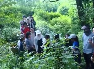 “采菌游”熱、“燒烤經(jīng)濟”火 暑期文旅消費場景持續(xù)“上新”