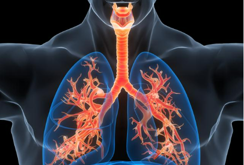 如何防治慢性呼吸系統(tǒng)疾病？13部門發(fā)布方案