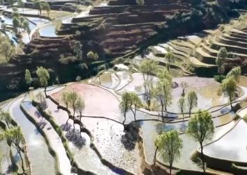 農(nóng)業(yè)文化遺產(chǎn)“活”起來 開辟促進(jìn)共富、帶動(dòng)發(fā)展新路徑