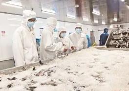 1-7月出口規(guī)模穩(wěn)居全國首位！福建水產(chǎn)“游”向全球餐桌