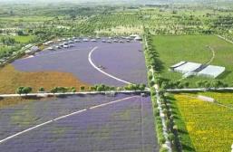 沙漠變綠地、變耕地 我國(guó)率先實(shí)現(xiàn)土地退化“零增長(zhǎng)”