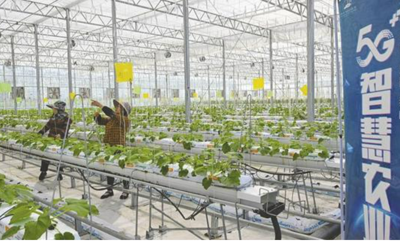 新技術讓農(nóng)業(yè)更智慧