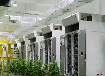 我國消費(fèi)市場空間持續(xù)擴(kuò)大 進(jìn)口來源地覆蓋廣、品類豐富