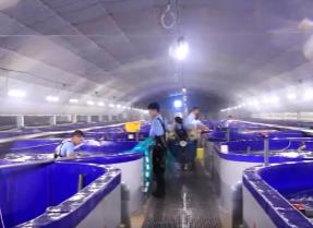 耕海牧漁 多地海產品迎來豐收