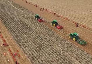 禮贊豐收中國！全國各地共繪農(nóng)民豐收節(jié)多彩“豐”景