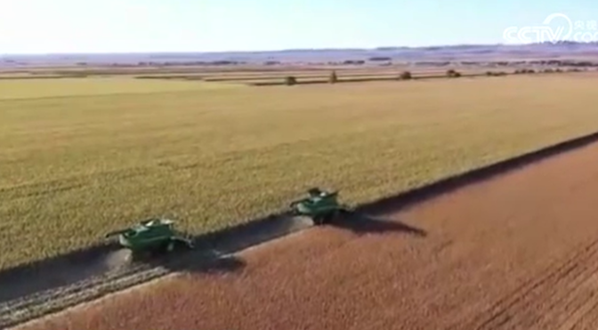 全國秋收進(jìn)度加快 各地多措并舉保豐收