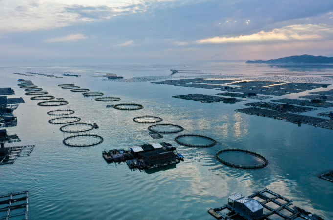 今年海洋伏季休漁全面結(jié)束 我國近海漁業(yè)資源養(yǎng)護(hù)成效顯著