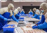 水產品加工業(yè)助力構建多元化食物供給體系